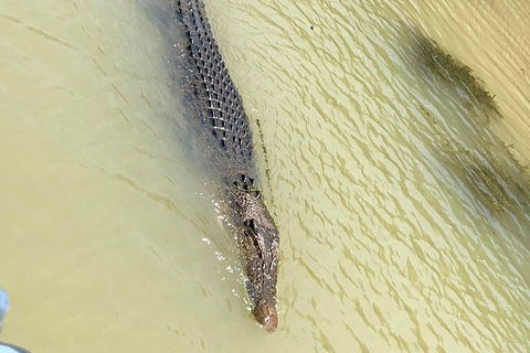 Kakadu National Park Scenic Flight & Cruise - Rental Cars 11