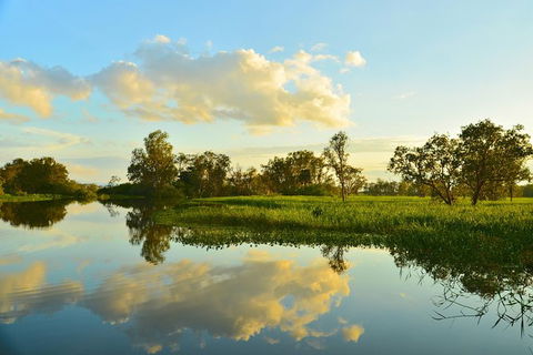 Kakadu National Park Scenic Flight & Cruise - Rental Cars 13
