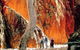West MacDonnell Ranges Day Trip From Alice Springs - thumb 7