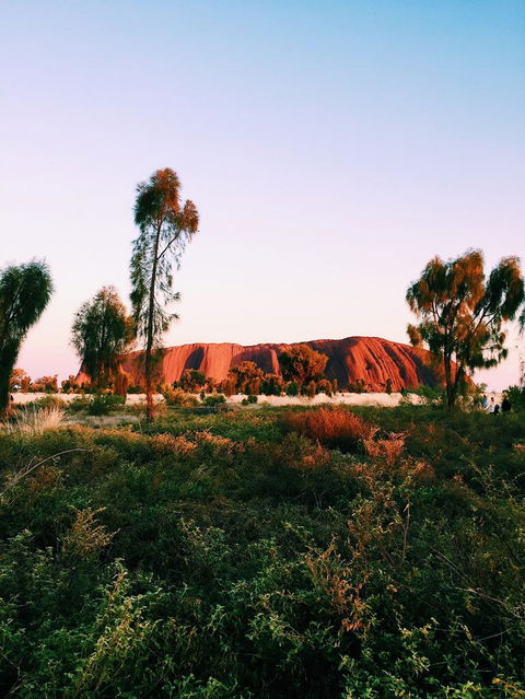 Uluru & Kata Tjuta Sights & Sounds - Rental Cars 3