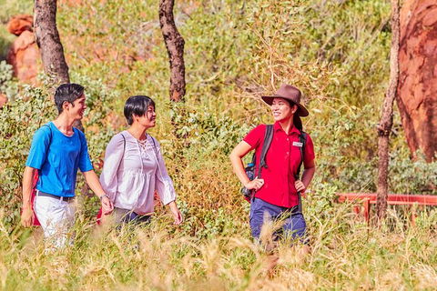 Uluru & Kata Tjuta Sights & Sounds - Rental Cars 15
