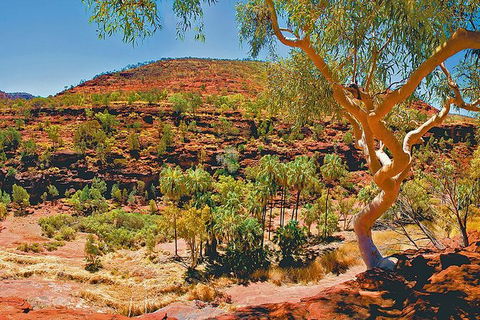 Palm Valley 4WD Tour From Alice Springs - Rental Cars 6
