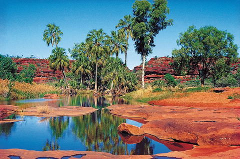 Palm Valley 4WD Tour From Alice Springs - Rental Cars 5