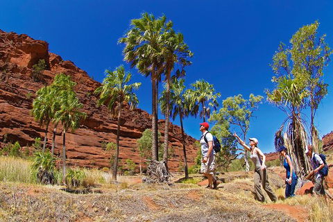 Palm Valley 4WD Tour From Alice Springs - Rental Cars 2