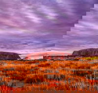 4-Day Camping Trip from Ayers Rock Including Uluru Kata Tjuta and Kings Canyon - Rental Cars