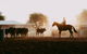 Skip-the-Line Katherine Outback Experience Show Ticket - thumb 3