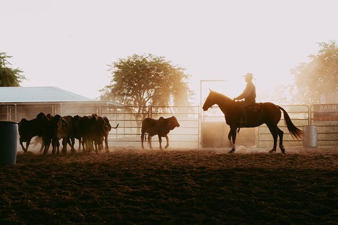 Skip-the-Line Katherine Outback Experience Show Ticket - Rental Cars 3