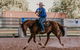 Skip-the-Line Katherine Outback Experience Show Ticket - thumb 6