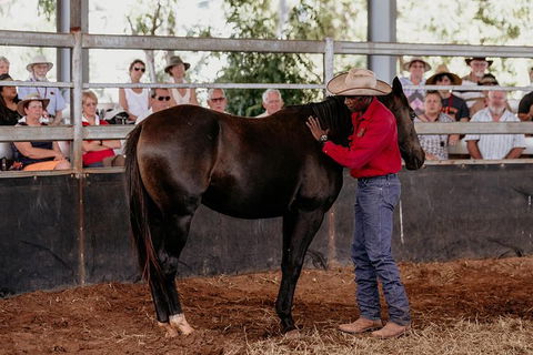Skip-the-Line Katherine Outback Experience Show Ticket - Rental Cars 10