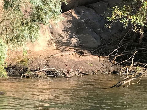 Nitmiluk (Katherine) Gorge 3.5-Hour Sunset Dinner Boat Tour - Rental Cars 4