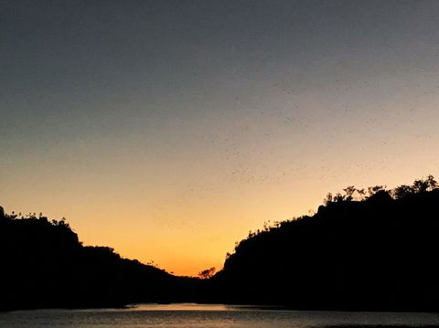 Nitmiluk (Katherine) Gorge 3.5-Hour Sunset Dinner Boat Tour - Rental Cars 9