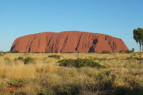 Overnight Uluru (Ayers Rock) Small-Group Camping Tour - Rental Cars 8