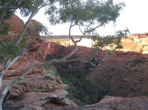 3-Day Uluru And Kings Canyon Camping Experience From Alice Springs Including Outback BBQ Dinner - Rental Cars 1