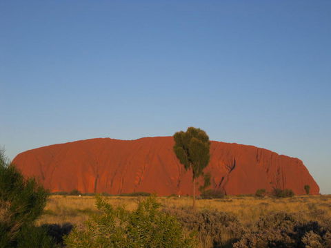3-Day Uluru And Kings Canyon Camping Experience From Alice Springs Including Outback BBQ Dinner - Rental Cars 4