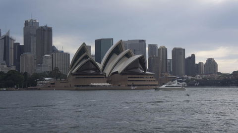 Sydney Whale-Watching Cruise Including Lunch Or Breakfast - Rental Cars 10