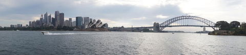 Sydney Whale-Watching Cruise Including Lunch Or Breakfast - Rental Cars 11