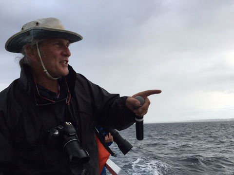 Sydney Whale-Watching Cruise Including Lunch Or Breakfast - Rental Cars 7