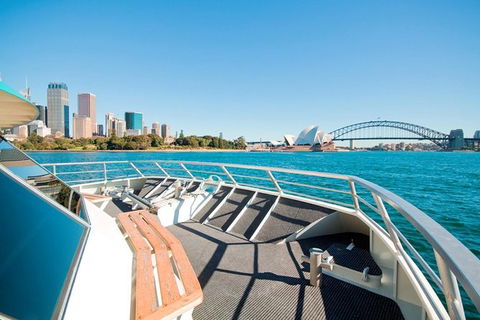Sydney Whale-Watching Cruise Including Lunch Or Breakfast - Rental Cars 16