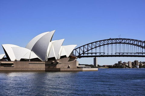 Sydney Whale-Watching Cruise Including Lunch Or Breakfast - Rental Cars 24