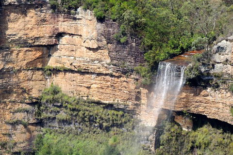 Inside The Greater Blue Mountains World Heritage - A Private Wildlife Safari Overnight - Rental Cars 9