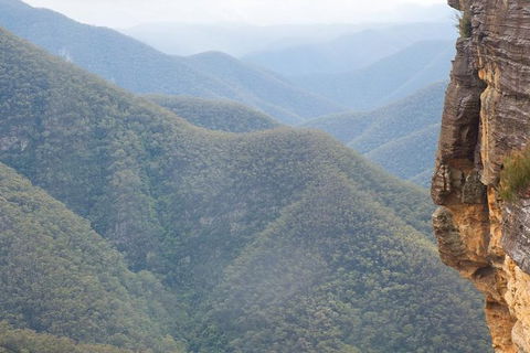 Inside The Greater Blue Mountains World Heritage - A Private Wildlife Safari Overnight - Rental Cars 19