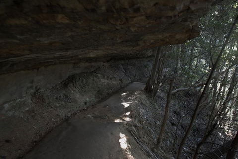 Inside The Greater Blue Mountains World Heritage - A Private Wildlife Safari Overnight - Rental Cars 45