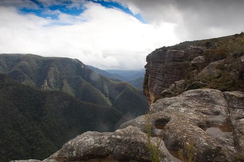 Inside The Greater Blue Mountains World Heritage - A Private Wildlife Safari Overnight - Rental Cars 47
