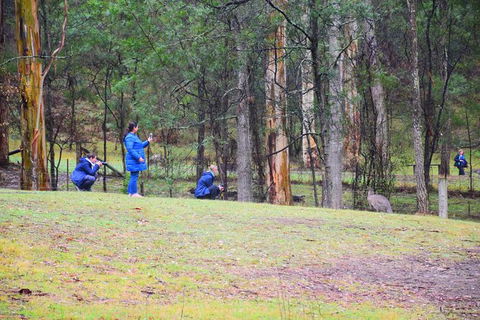 Inside The Greater Blue Mountains World Heritage - A Private Wildlife Safari Overnight - Rental Cars 39