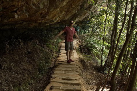 Inside The Greater Blue Mountains World Heritage - A Private Wildlife Safari Overnight - Rental Cars 17