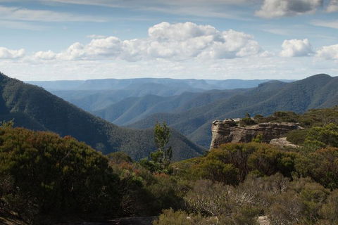 Inside The Greater Blue Mountains World Heritage - A Private Wildlife Safari Overnight - Rental Cars 30