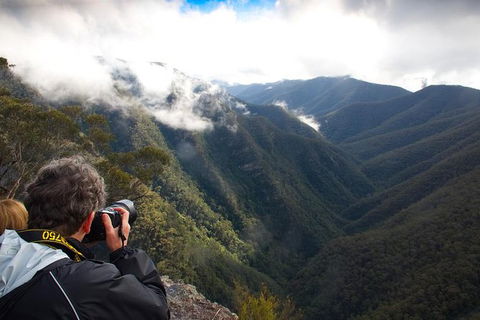 Inside The Greater Blue Mountains World Heritage - A Private Wildlife Safari Overnight - Rental Cars 11