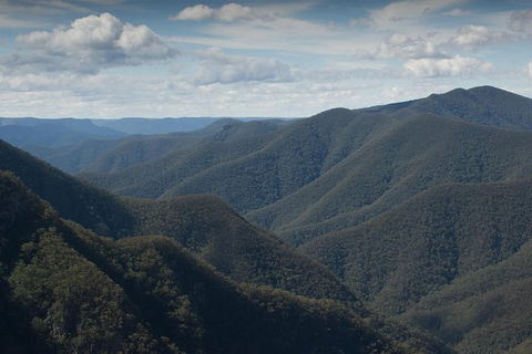 Inside The Greater Blue Mountains World Heritage - A Private Wildlife Safari Overnight - Rental Cars 48