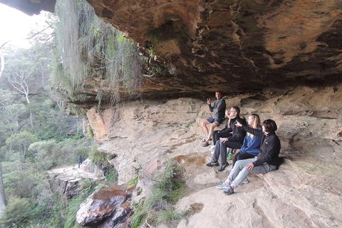 Inside The Greater Blue Mountains World Heritage - A Private Wildlife Safari Overnight - Rental Cars 20