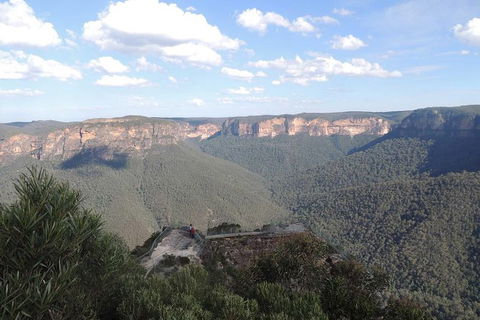 Inside The Greater Blue Mountains World Heritage - A Private Wildlife Safari Overnight - Rental Cars 24