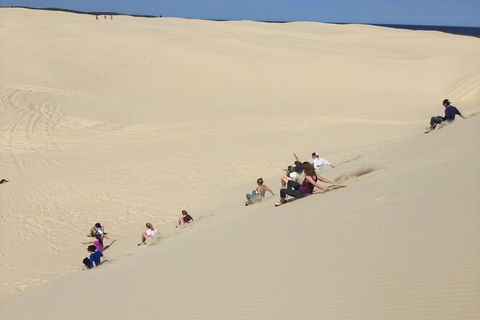 Port Stephens Bush, Beach And Sand Dune 4WD Passenger Tour - Rental Cars 2