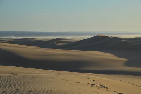 Port Stephens Bush, Beach And Sand Dune 4WD Passenger Tour - Rental Cars 6