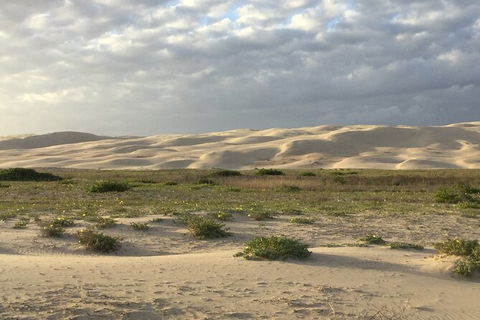 Port Stephens Bush, Beach And Sand Dune 4WD Passenger Tour - Rental Cars 3