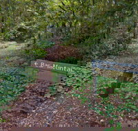 Bar Mountain circuit - Rental Cars