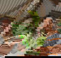 Birdworld Kuranda - Rental Cars