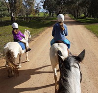 Bits and Boots Pony Rides - Rental Cars