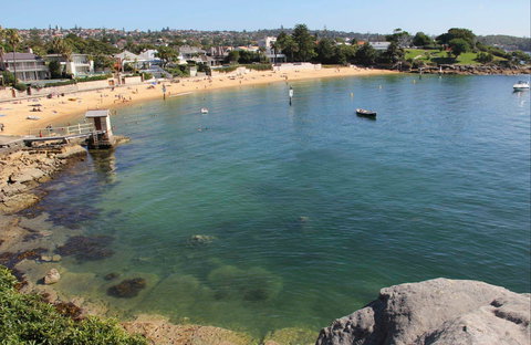 Camp Cove - Rental Cars 1