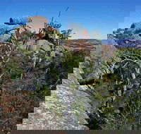 Evans Crown Nature Reserve - Rental Cars