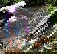 Fossicking - Rental Cars