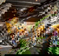 Gold Rush Mini Golf - Rental Cars