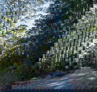 Hastings Forest Way Touring Route