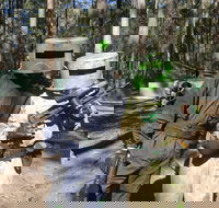 Rapid Fire Paintball - Rental Cars