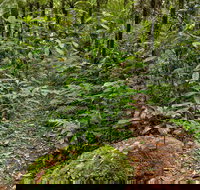 Red Cedar Loop - Rental Cars