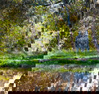 Strathnairn Arts - Rental Cars