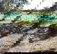 Tactical Paintball Games - Rental Cars