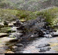 Thredbo River Track - Rental Cars
